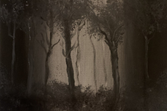 sogni di legno - dipinto