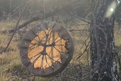 sogni di legno - andrea notarpietro